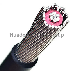 16mm2/25mm2/35mm2 Copper/AAAC Conductor Concentric Cable